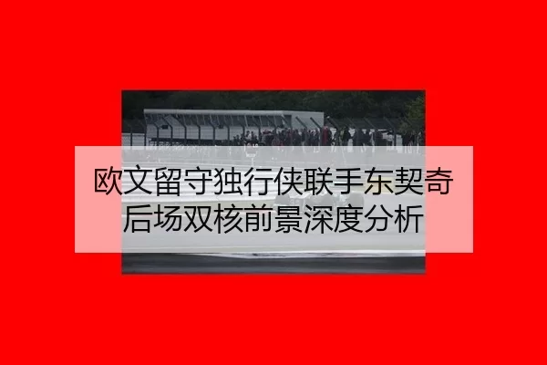 欧文留守独行侠联手东契奇 后场双核前景深度分析